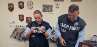 Prodotti cosmetici tossici e cancerogeni sequestrati dal Nas di Napoli