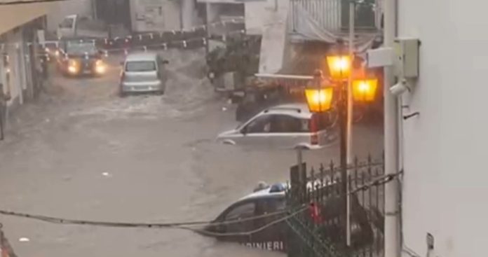 Screenshot 2025-09-23 114519