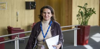 Ue, Ribera “Su Google intervento giusto, sulle banche decide la Dg Comp”