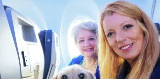 Cani in aereo, Brambilla “L’Italia è all’avanguardia sulla tutela degli animali”