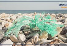 Le microplastiche minacciano i ghiacciai, un pericolo che riguarda tutti