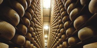 Il Consorzio del Parmigiano Reggiano vola a Colonia per partecipare ad Anuga