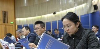 Cina: nuovo rapporto elogia progressi dello sviluppo rurale nello Xizang