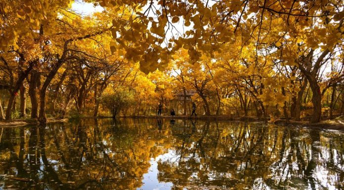 Cina: i turisti si godono gli scenari autunnali nel Paese (1)