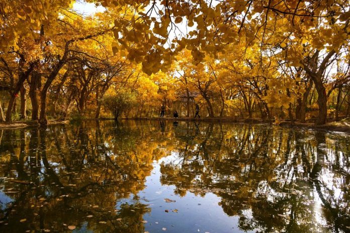 #CHINA-AUTUMN-SCENERY (CN)
