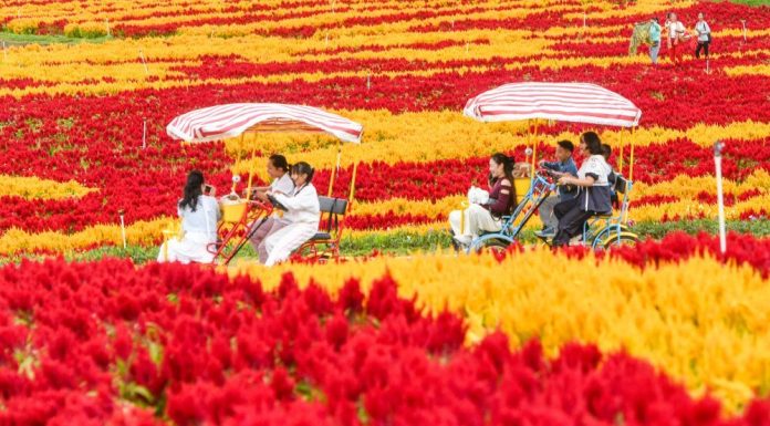 Cina: i turisti si godono gli scenari autunnali nel Paese (3)