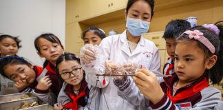 Cina, Giornata mondiale della MTC: a scuola si insegna medicina tradizionale (2)