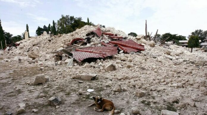 Violento terremoto nelle Filippine, almeno 69 morti. Decine i feriti