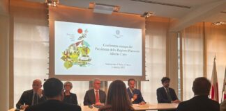 Il Piemonte rafforza i legami con il Giappone tra cultura e imprese