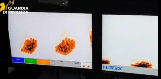 Traffico di eroina a Malpensa, sequestro per 1 milione e 7 arresti