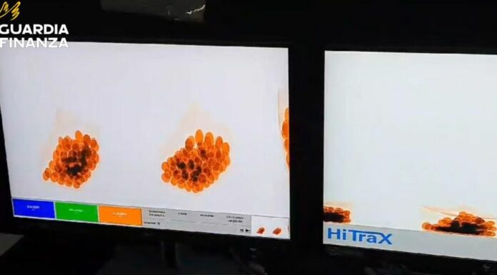 Traffico di eroina a Malpensa, sequestro per 1 milione e 7 arresti