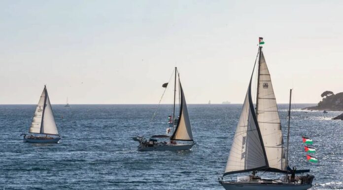 Israele “Attivisti Flotilla sani e salvi, presto espulsi”