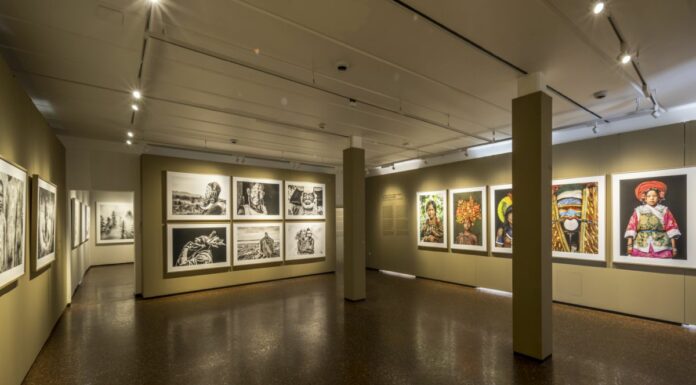 Alle Gallerie d’Italia di Vicenza la mostra “Cristina Mittermeier”