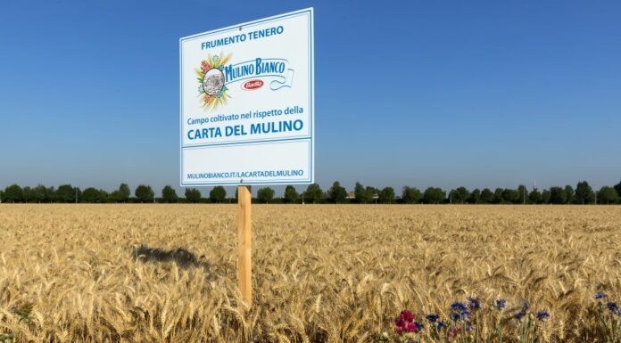 Con “Buongrano” Mulino Bianco porta l’agricoltura rigenerativa a tavola