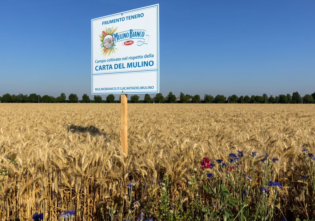 geronimo it si-inaugura-questo-weekend-la-7a-edizione-di-monasteri-aperti-emilia-romagna-2025-l039evento-dedicato-al-turismo-slow-all039arte-e-alla-spiritualit-A65976 010