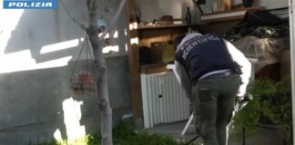 Reggio Calabria, giovane arrestata per il duplice omicidio dei due figli appena partoriti