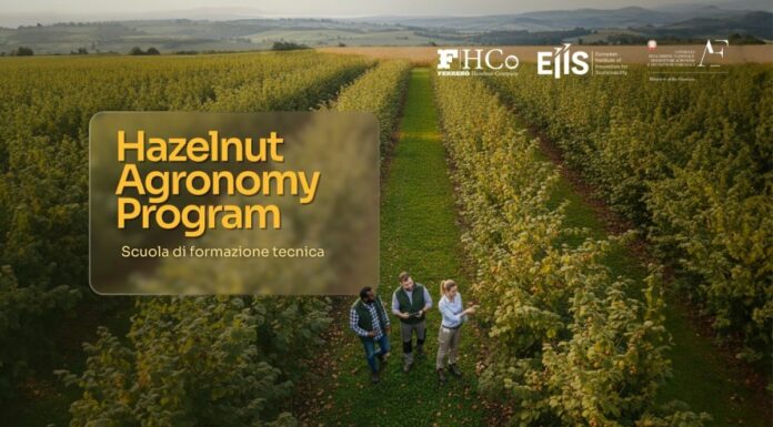 Al via l’Hazelnut Agronomy Program promosso da Ferrero, Eiis e Conaf