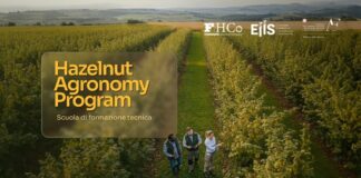 Al via l’Hazelnut Agronomy Program promosso da Ferrero, Eiis e Conaf
