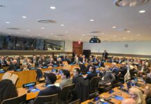 Fondazione Magna Grecia, all’Onu Rapporto su mafie nell’era digitale