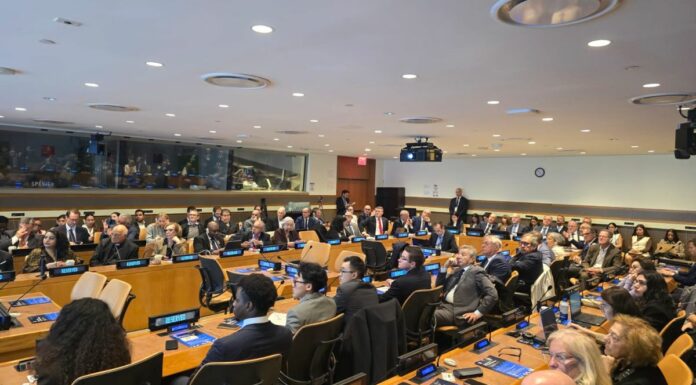 Fondazione Magna Grecia, all’Onu Rapporto su mafie nell’era digitale