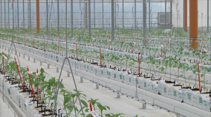 Bayer apre le porte all’innovazione, nuove serre hi-tech a Latina