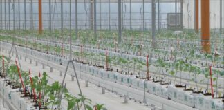 Bayer apre le porte all’innovazione, nuove serre hi-tech a Latina