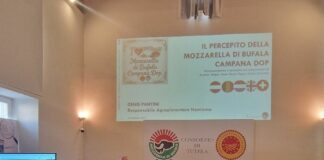 Mozzarella di bufala al top sui social, simbolo di benessere e felicità