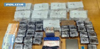 Sequestrate 2 tonnellate di stupefacenti nel torinese