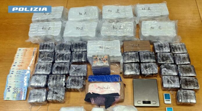 Sequestrate 2 tonnellate di stupefacenti nel torinese