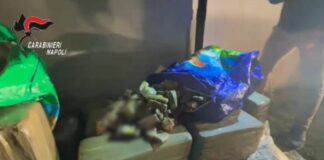 Droga dalla Spagna a Napoli per le piazze italiane, 5 arresti