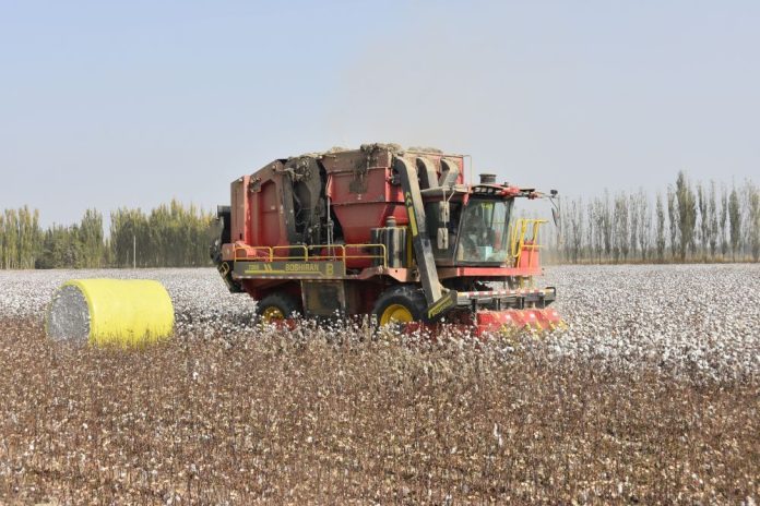 CHINA-XINJIANG-XAYAR-COTTON-HARVEST (CN)