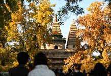 Cina: l’autunno fa da cornice al museo dell’arte della scultura in pietra (1)