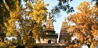 Cina: l’autunno fa da cornice al museo dell’arte della scultura in pietra (1)