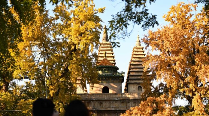 Cina: l’autunno fa da cornice al museo dell’arte della scultura in pietra (1)