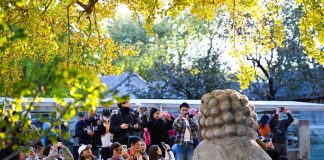 Cina: l’autunno fa da cornice al museo dell’arte della scultura in pietra (2)