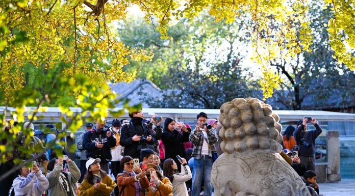 Cina: l’autunno fa da cornice al museo dell’arte della scultura in pietra (2)