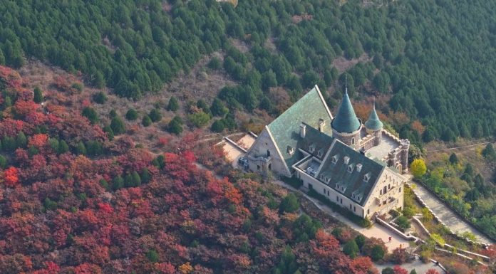 Cina: il distretto di Jizhou a Tianjin si tinge dei colori dell’autunno (2)