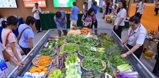 Cina: a Haikou l’Expo internazionale della supply chain alimentare tropicale (1)
