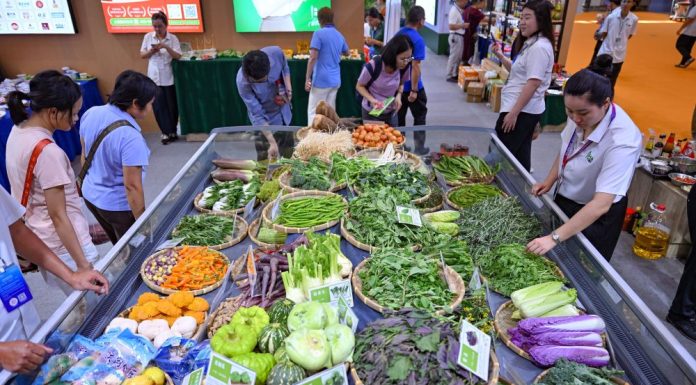 Cina: a Haikou l’Expo internazionale della supply chain alimentare tropicale (1)