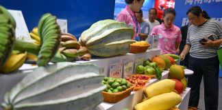Cina: a Haikou l’Expo internazionale della supply chain alimentare tropicale (2)