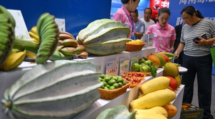 Cina: a Haikou l’Expo internazionale della supply chain alimentare tropicale (2)