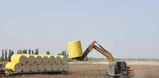 Cina: nello Xinjiang macchine al lavoro per la raccolta del cotone (2)