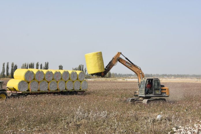 CHINA-XINJIANG-XAYAR-COTTON-HARVEST (CN)