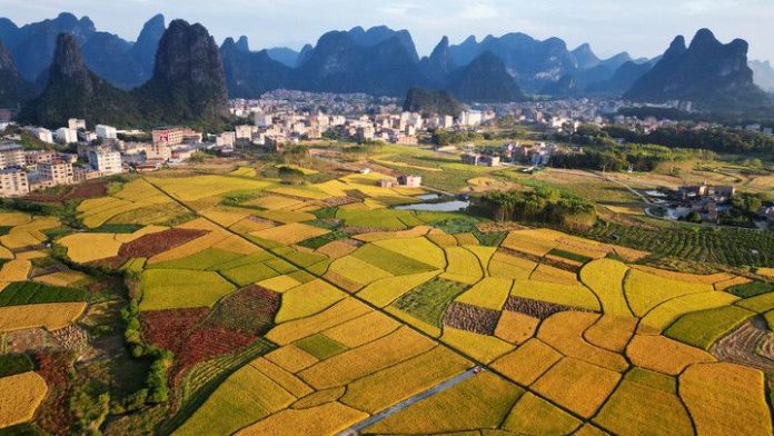 #CHINA-AUTUMN-SCENERY (CN)