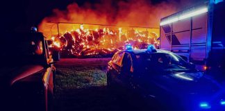 Incendio in un deposito di fieno nel Cagliaritano, per il proprietario è doloso “Miserabili e codardi”