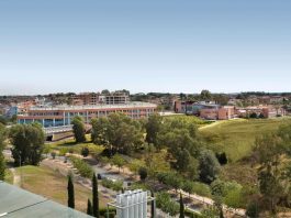 Università Campus Bio-Medico di Roma, il CdA nomina la squadra a supporto del Rettore