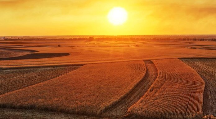 Cina: prosegue la raccolta autunnale di cereali nello Heilongjiang (1)