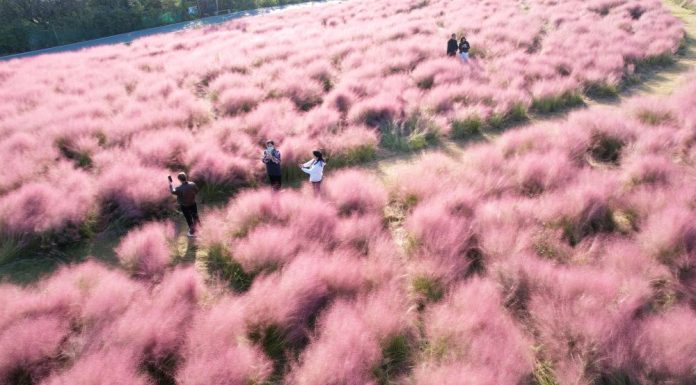 Cina: i turisti si godono gli scenari autunnali nel Paese (2)