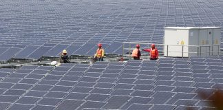 Nel 2024 ricercati 1,9 milioni di green jobs dalle imprese