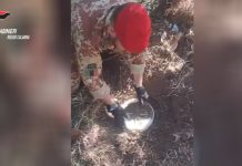 Decine di kg di droga sotterrati nelle campagne, arrestato un 28enne di Gioiosa Ionica